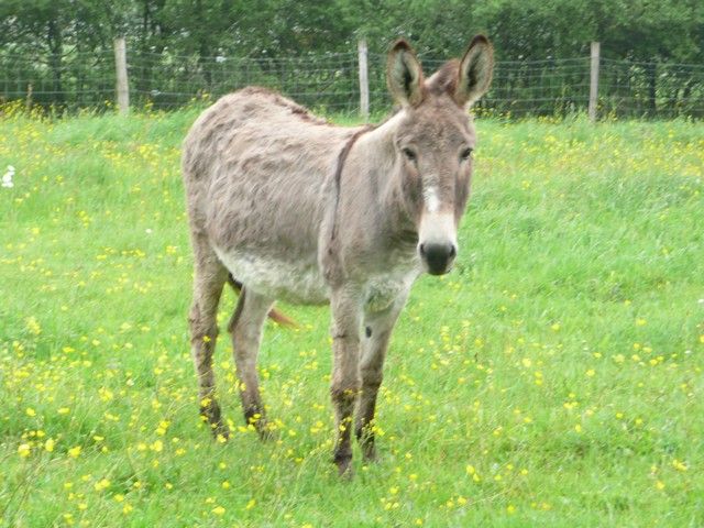 nettoyage mai 2012 (10).jpg